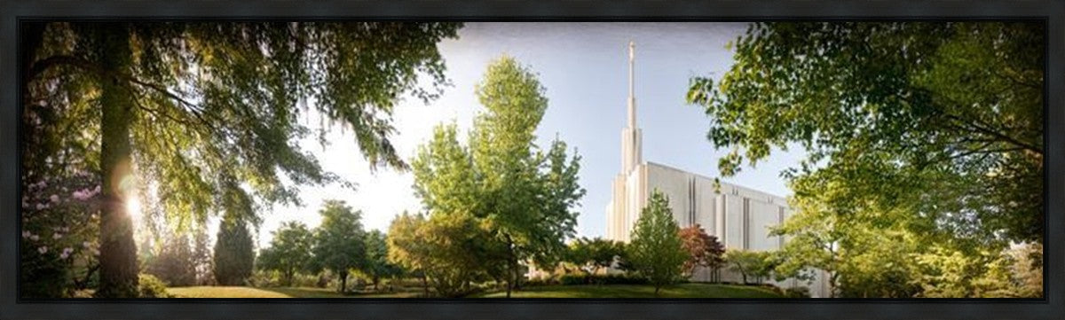 Seattle, The Day Dawn Is Breaking