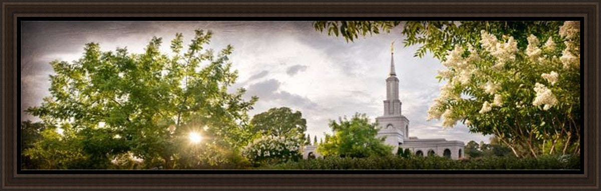 Sacramento, The Day Dawn Is Breaking