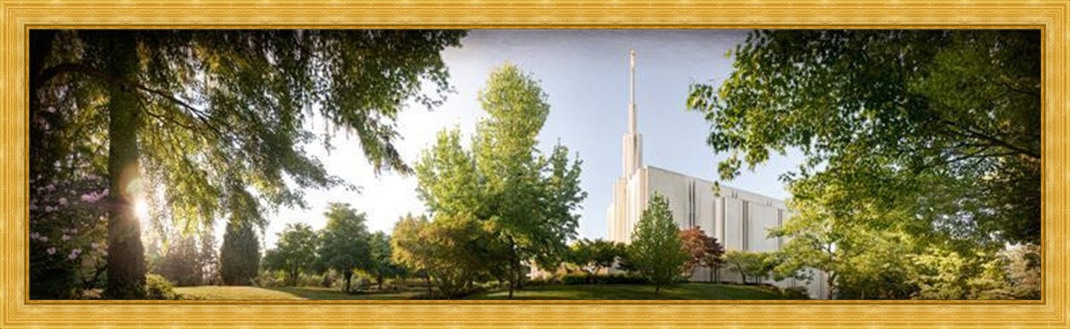 Seattle, The Day Dawn Is Breaking