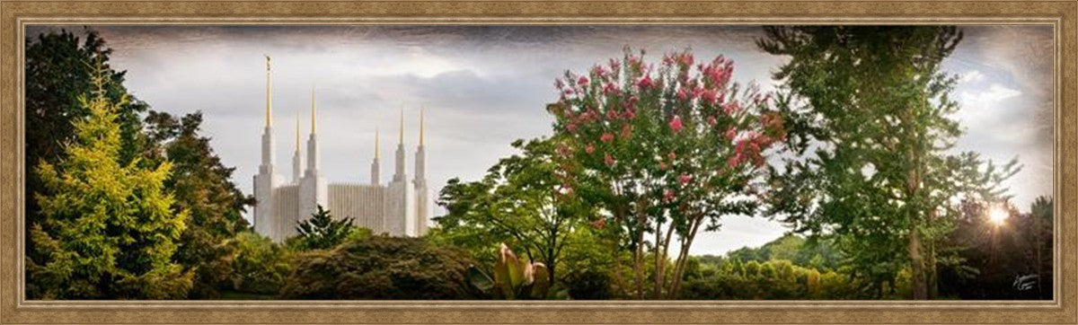 Washington DC, The Day Dawn Is Breaking