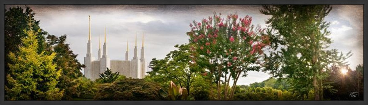 Washington DC, The Day Dawn Is Breaking