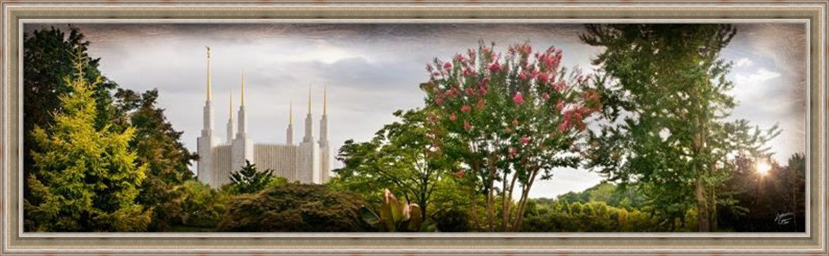 Washington DC, The Day Dawn Is Breaking