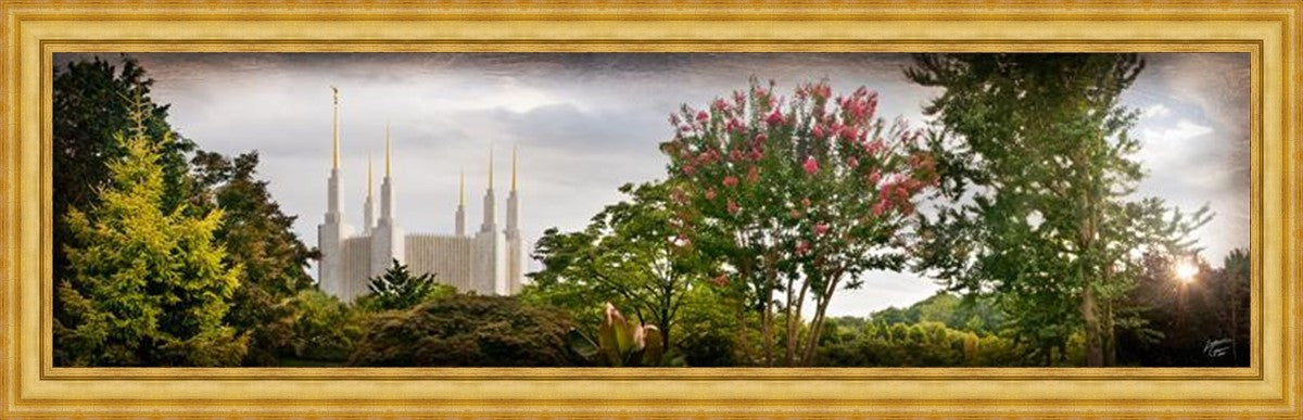 Washington DC, The Day Dawn Is Breaking