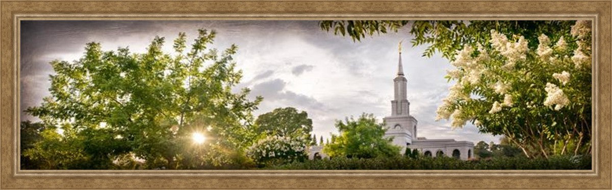 Sacramento, The Day Dawn Is Breaking