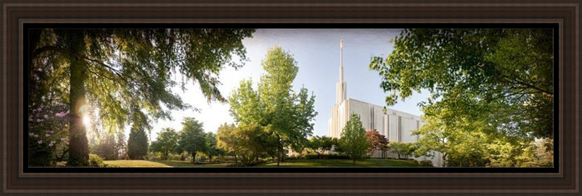 Seattle, The Day Dawn Is Breaking