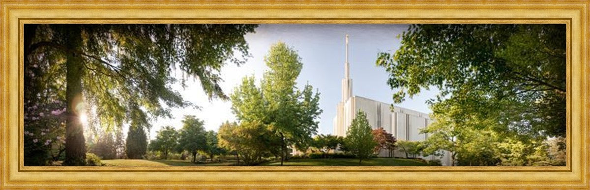 Seattle, The Day Dawn Is Breaking