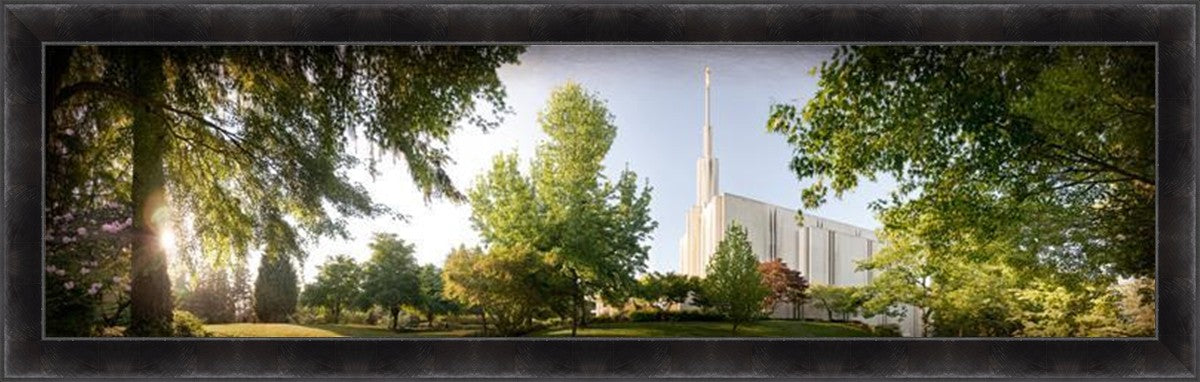 Seattle, The Day Dawn Is Breaking