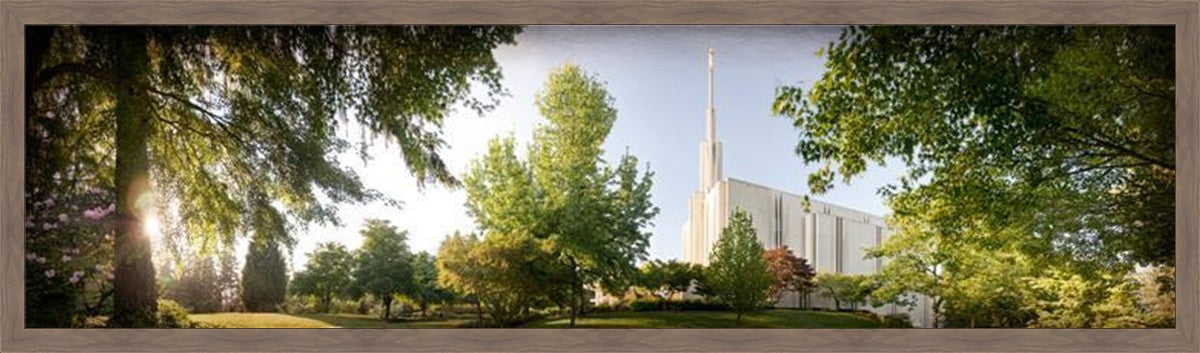 Seattle, The Day Dawn Is Breaking