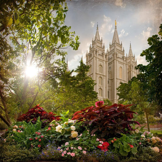 Salt Lake Brightness and Glory