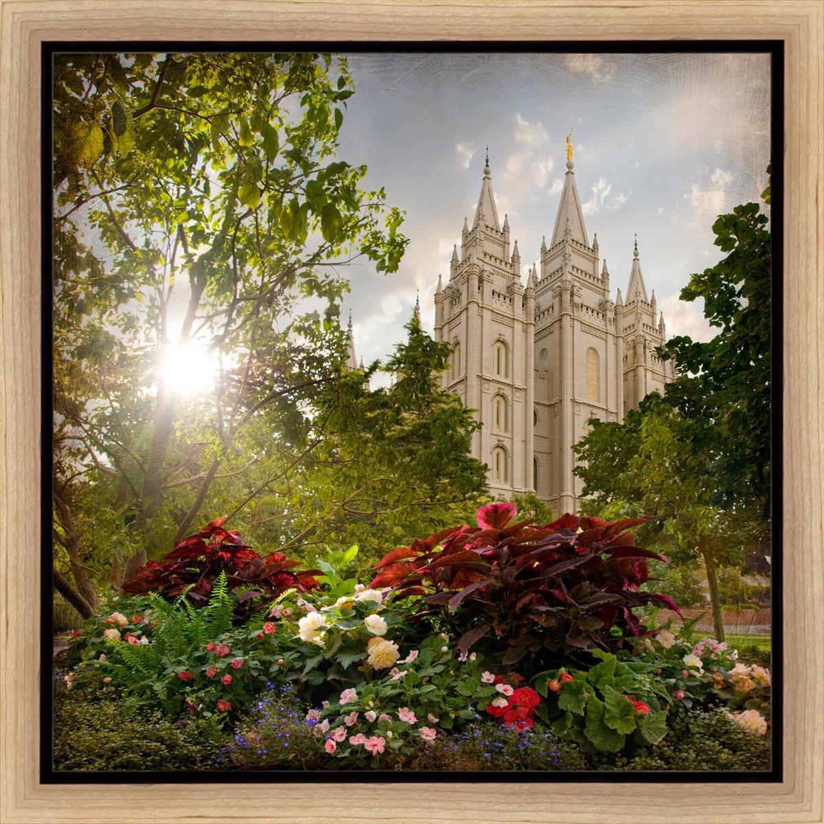 Salt Lake Brightness and Glory