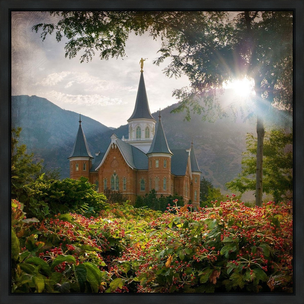 Provo CC Brightness and Glory