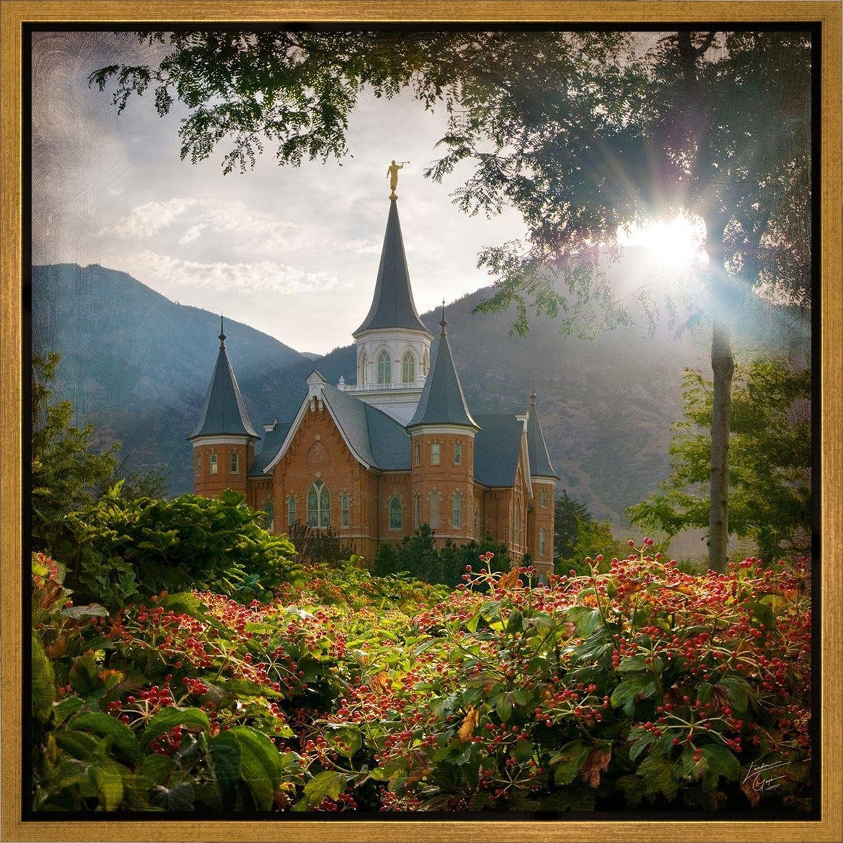 Provo CC Brightness and Glory