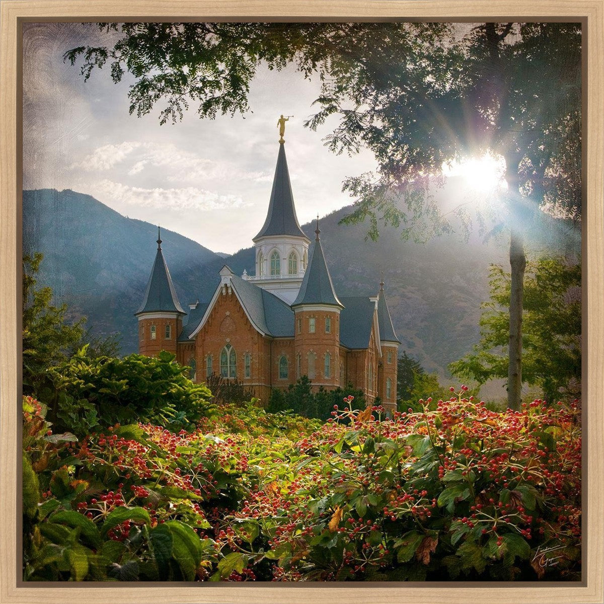 Provo CC Brightness and Glory