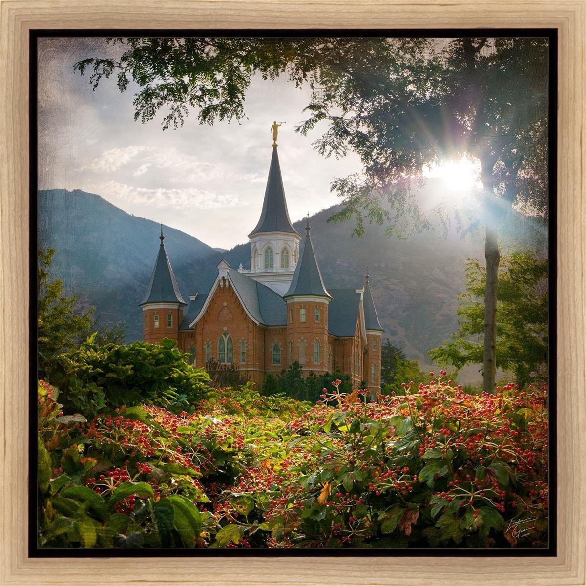 Provo CC Brightness and Glory