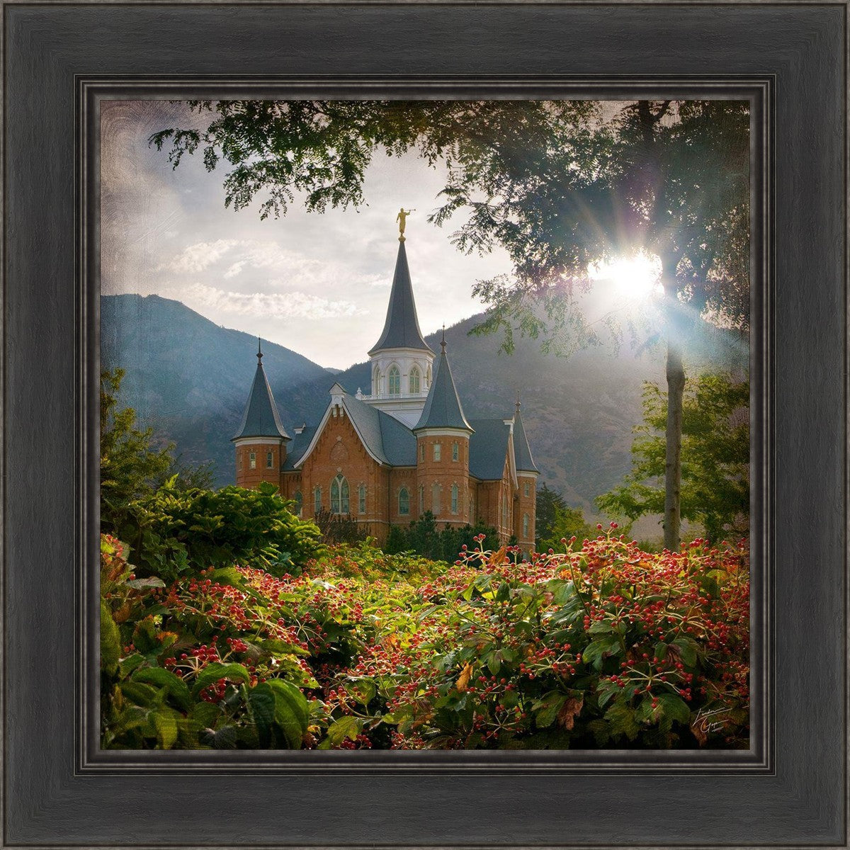 Provo CC Brightness and Glory