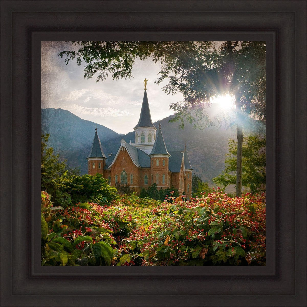 Provo CC Brightness and Glory