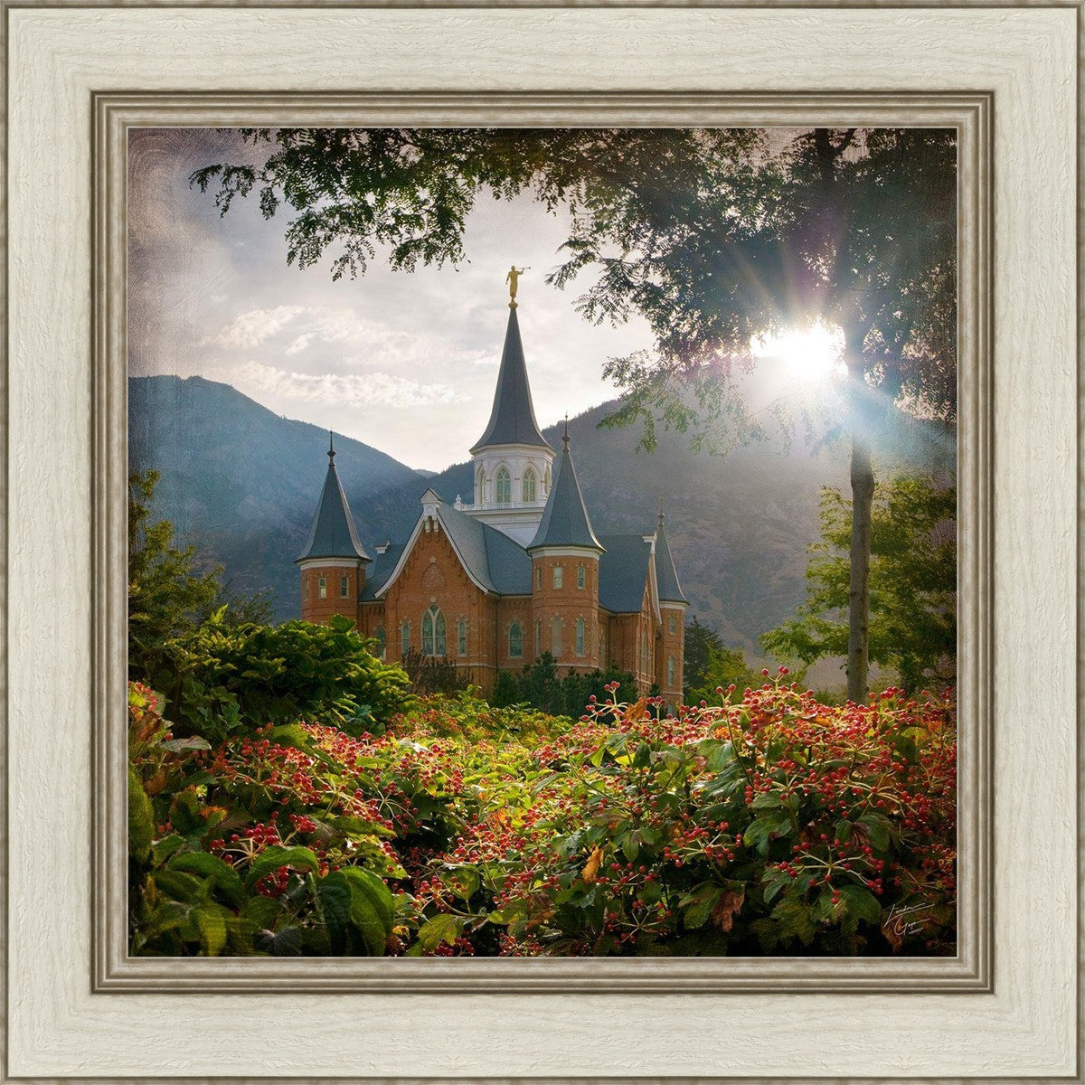 Provo CC Brightness and Glory