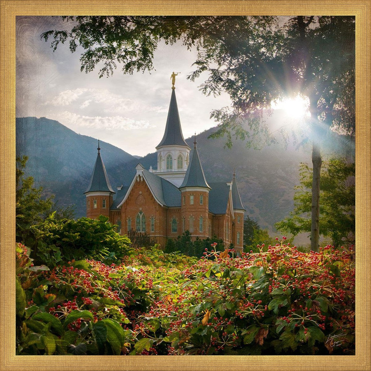 Provo CC Brightness and Glory