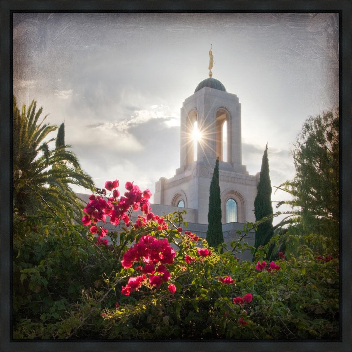 Newport Beach Brightness and Glory