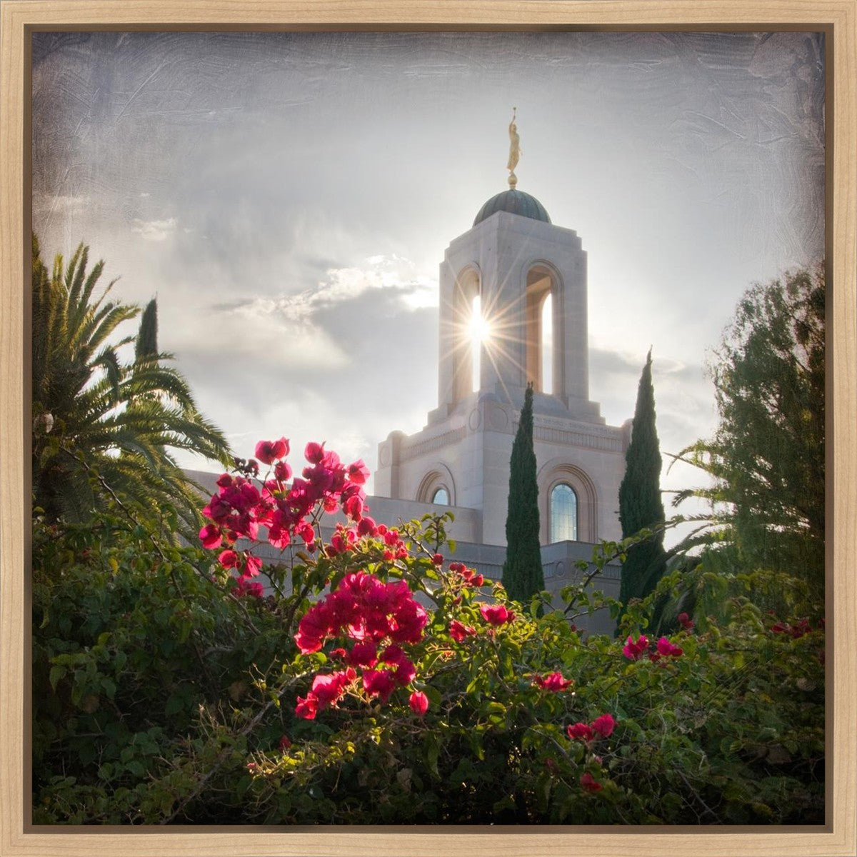 Newport Beach Brightness and Glory