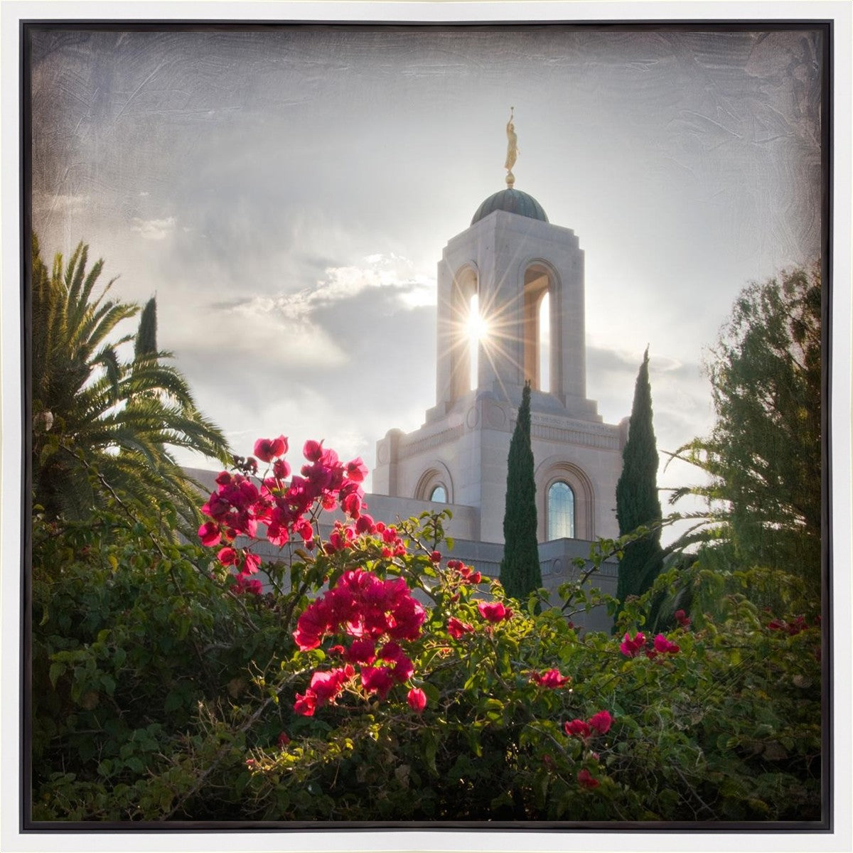 Newport Beach Brightness and Glory