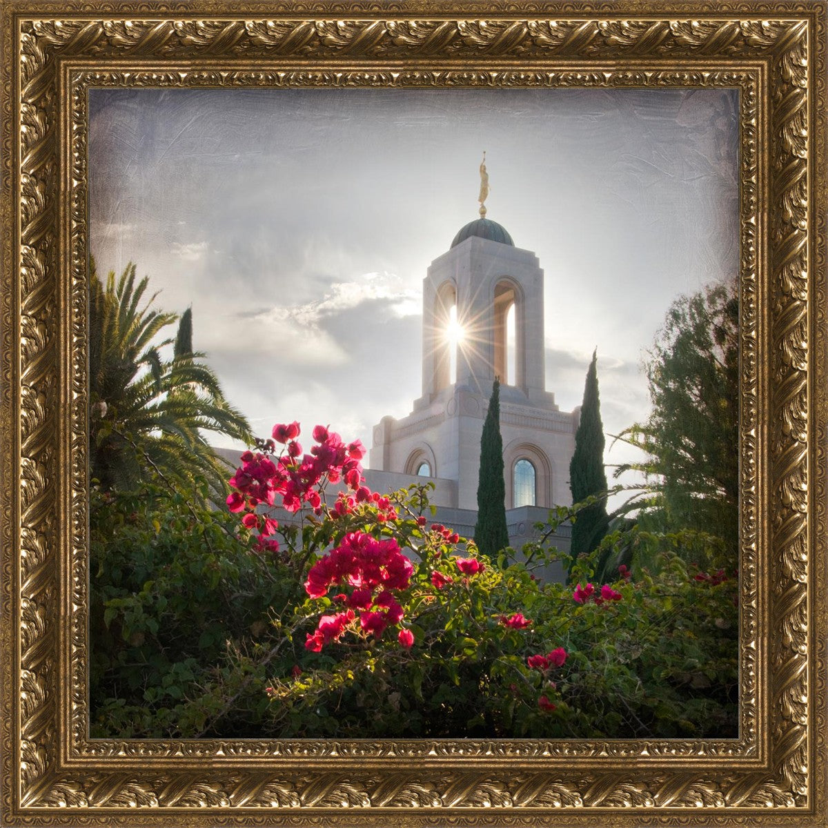 Newport Beach Brightness and Glory