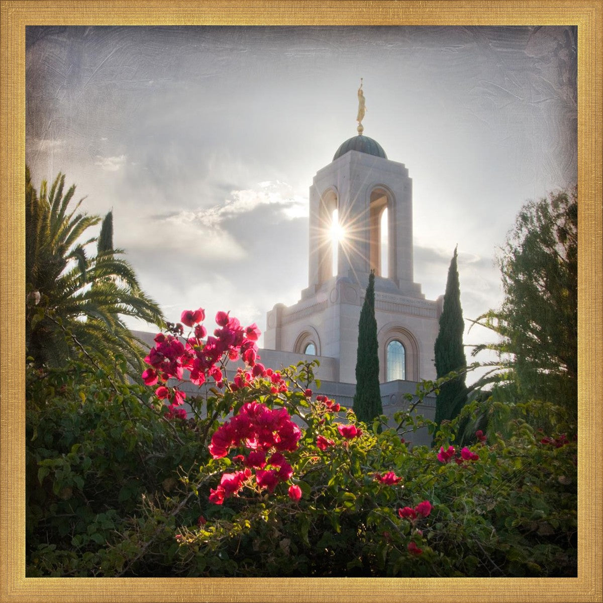 Newport Beach Brightness and Glory