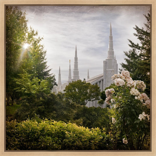 Portland Brightness and Glory
