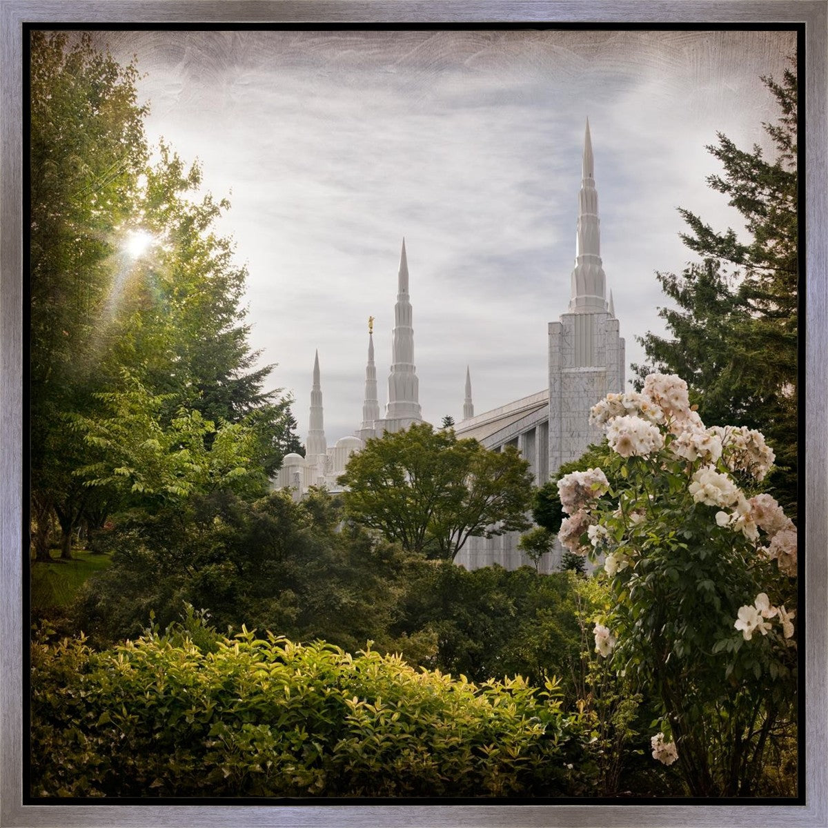 Portland Brightness and Glory