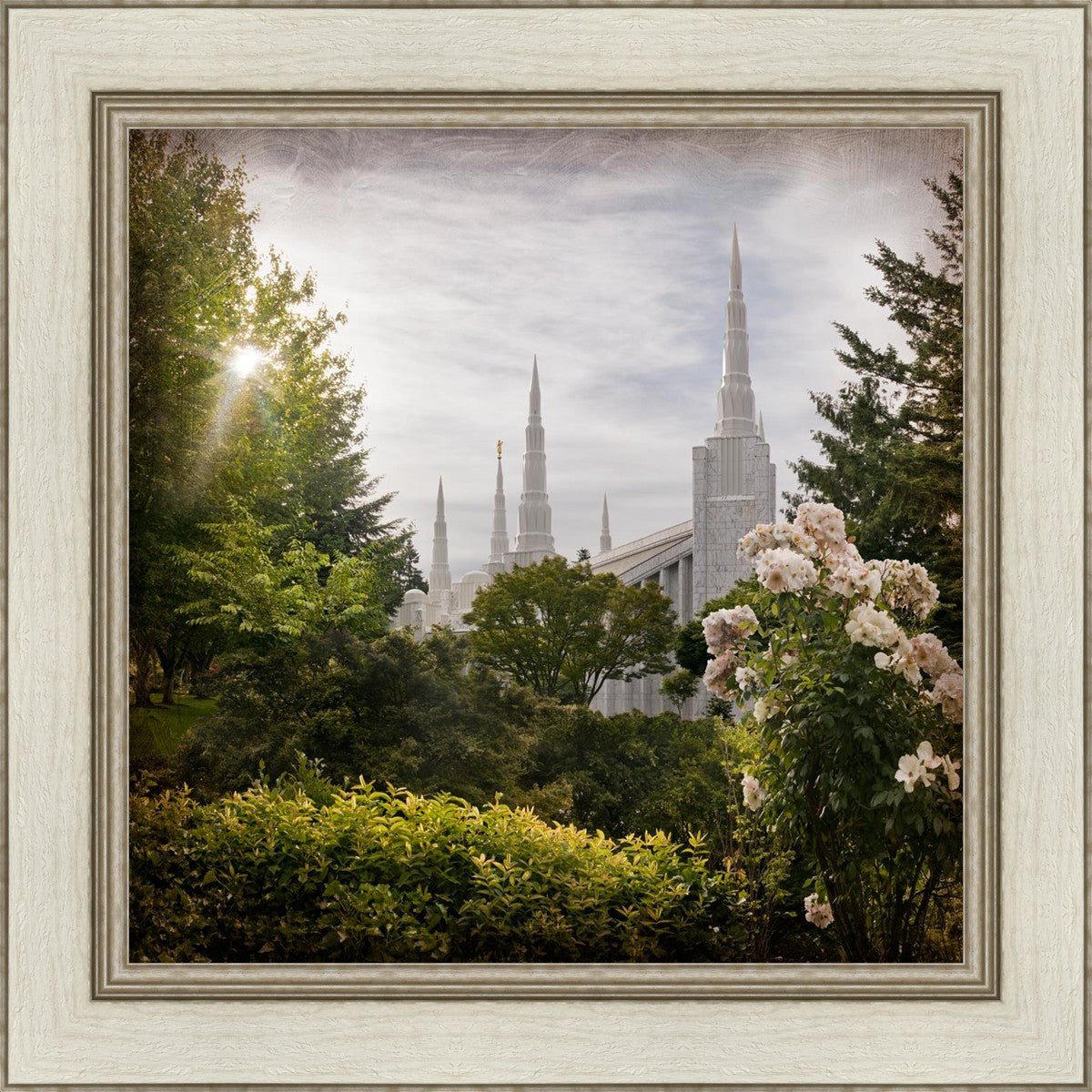 Portland Brightness and Glory