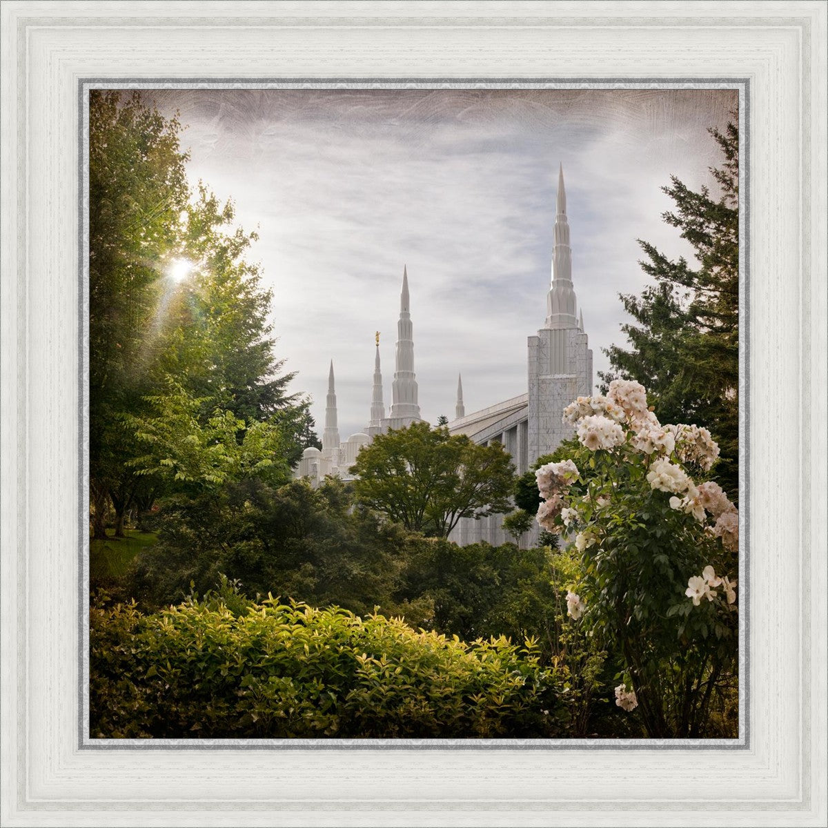 Portland Brightness and Glory