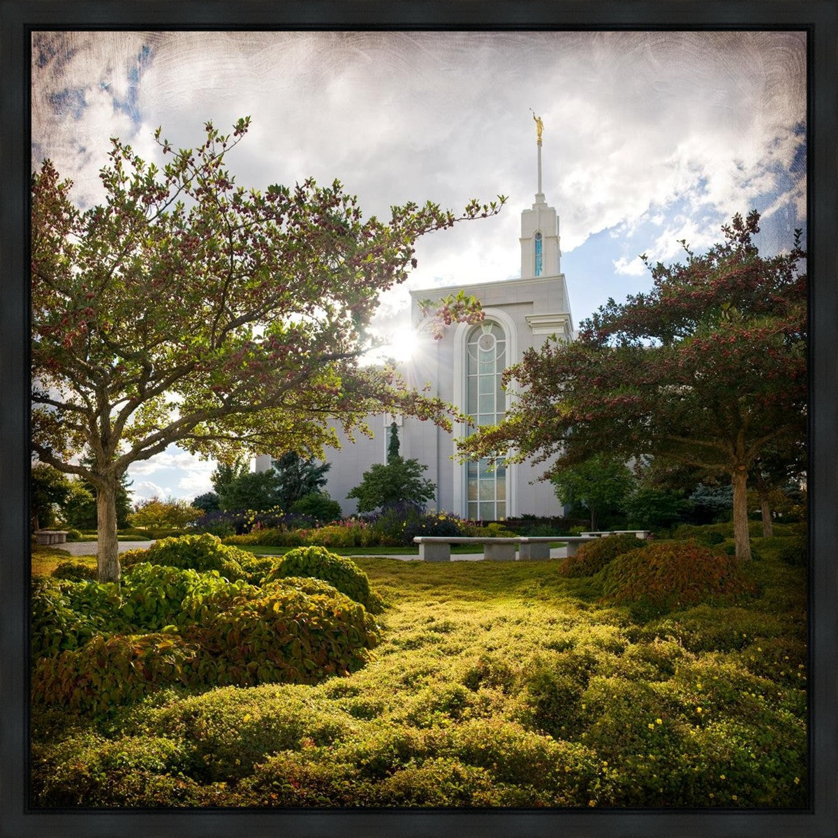 Mt. Timpanogos Brightness and Glory