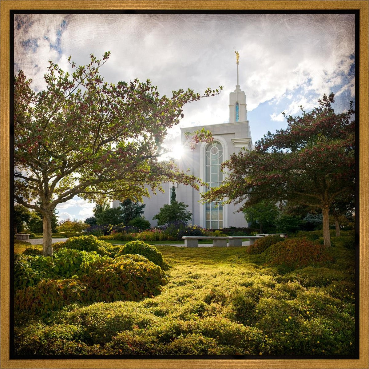 Mt. Timpanogos Brightness and Glory