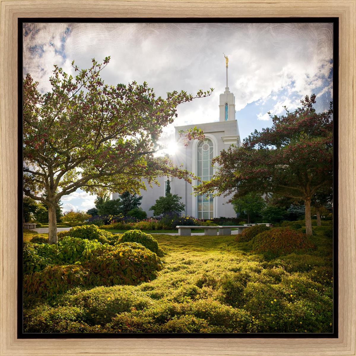 Mt. Timpanogos Brightness and Glory
