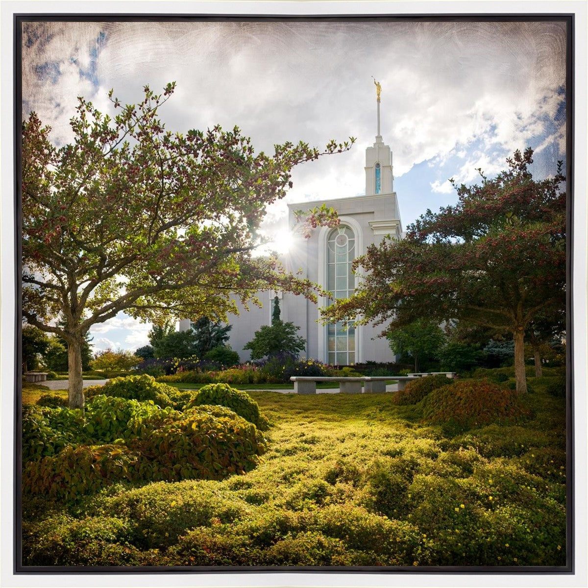 Mt. Timpanogos Brightness and Glory