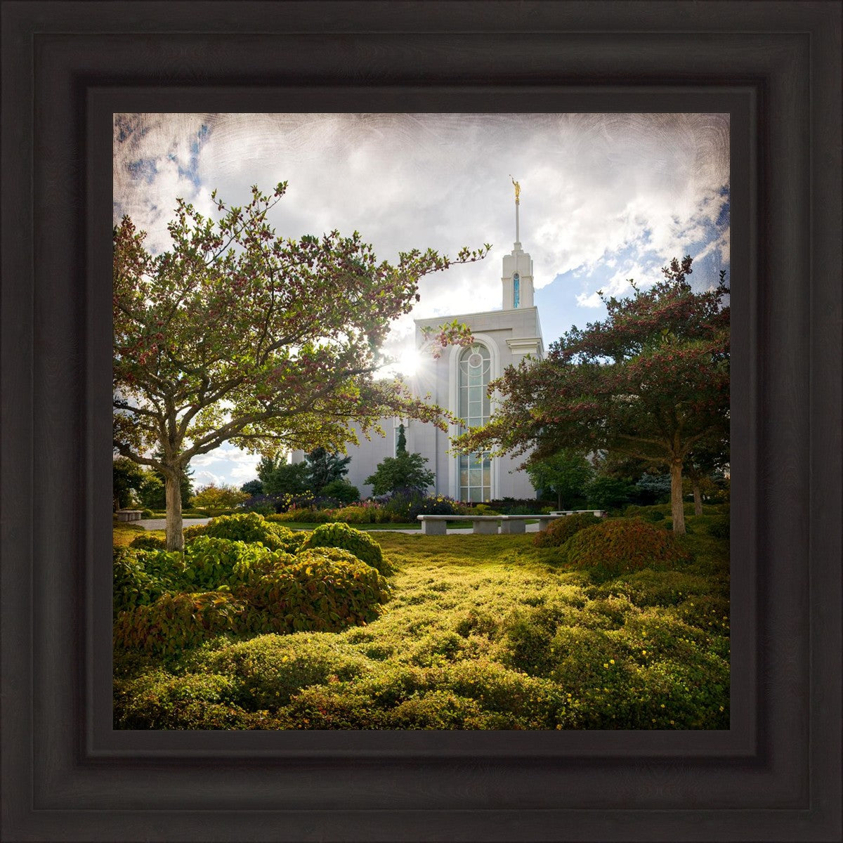 Mt. Timpanogos Brightness and Glory