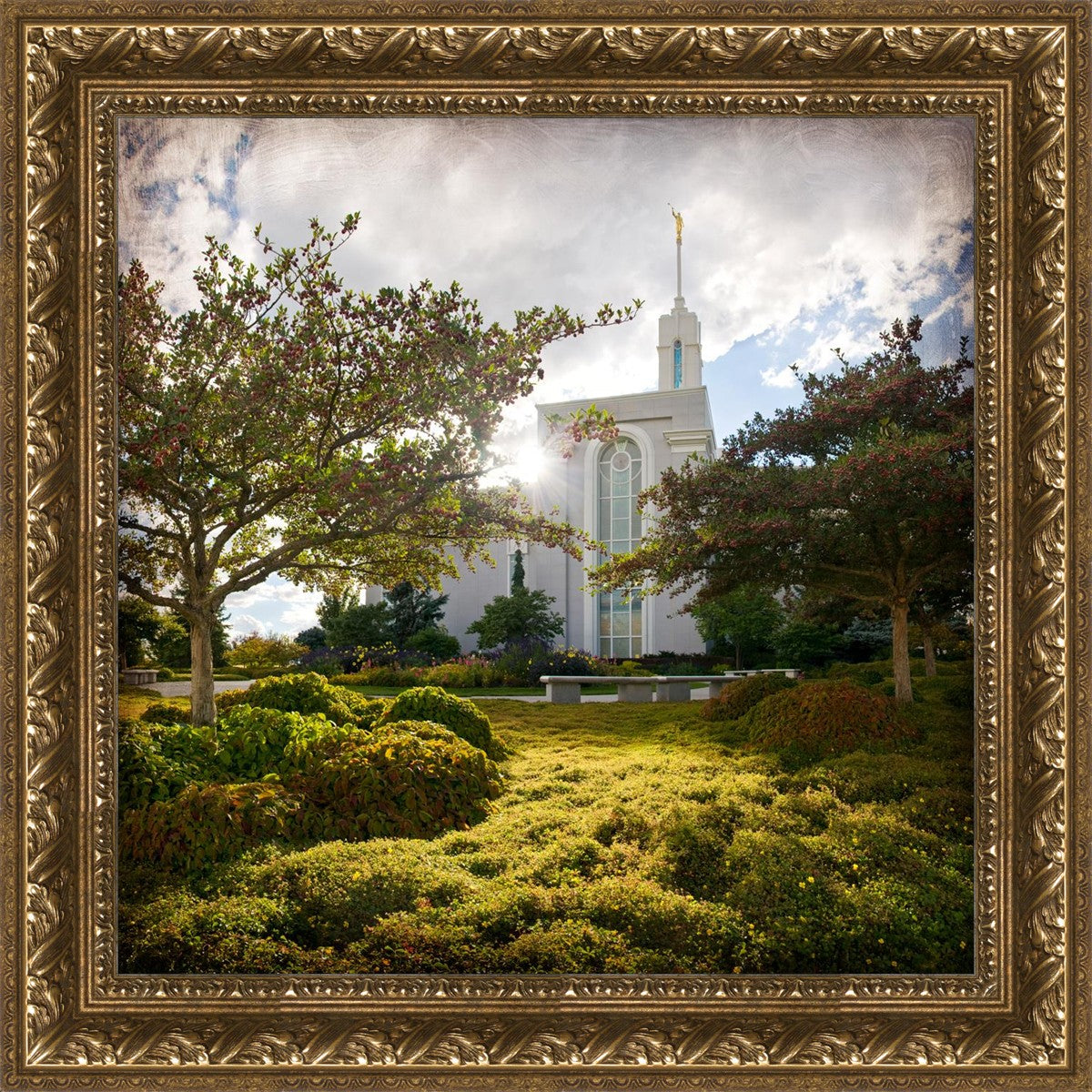 Mt. Timpanogos Brightness and Glory