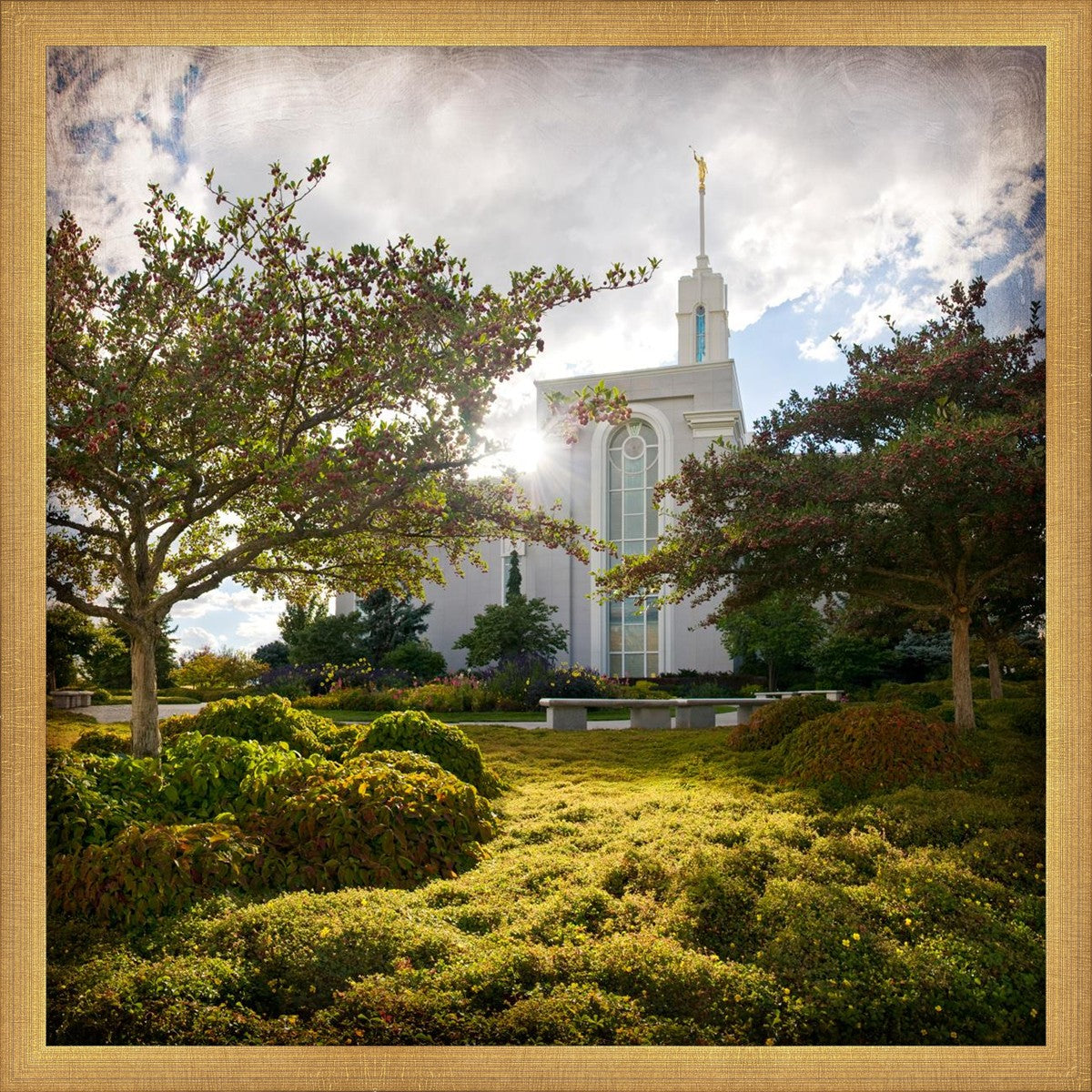 Mt. Timpanogos Brightness and Glory