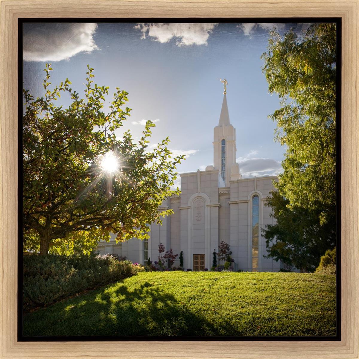 Bountiful Brightness and Glory