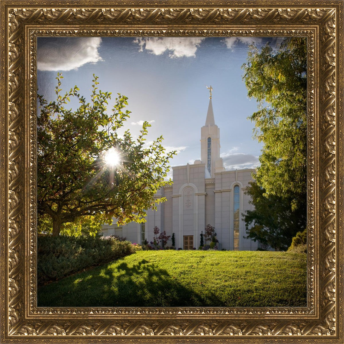 Bountiful Brightness and Glory