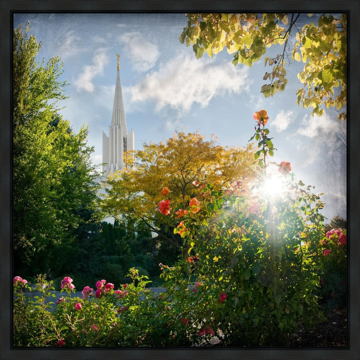 Jordan River Brightness and Glory