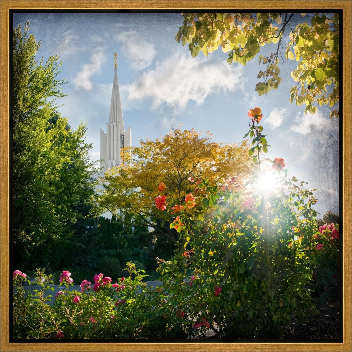 Jordan River Brightness and Glory