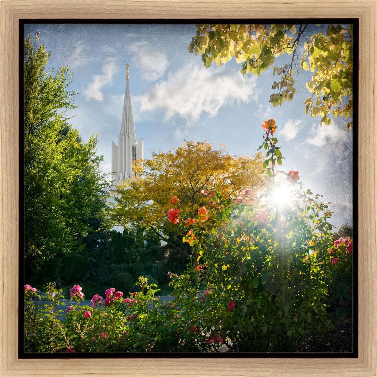 Jordan River Brightness and Glory