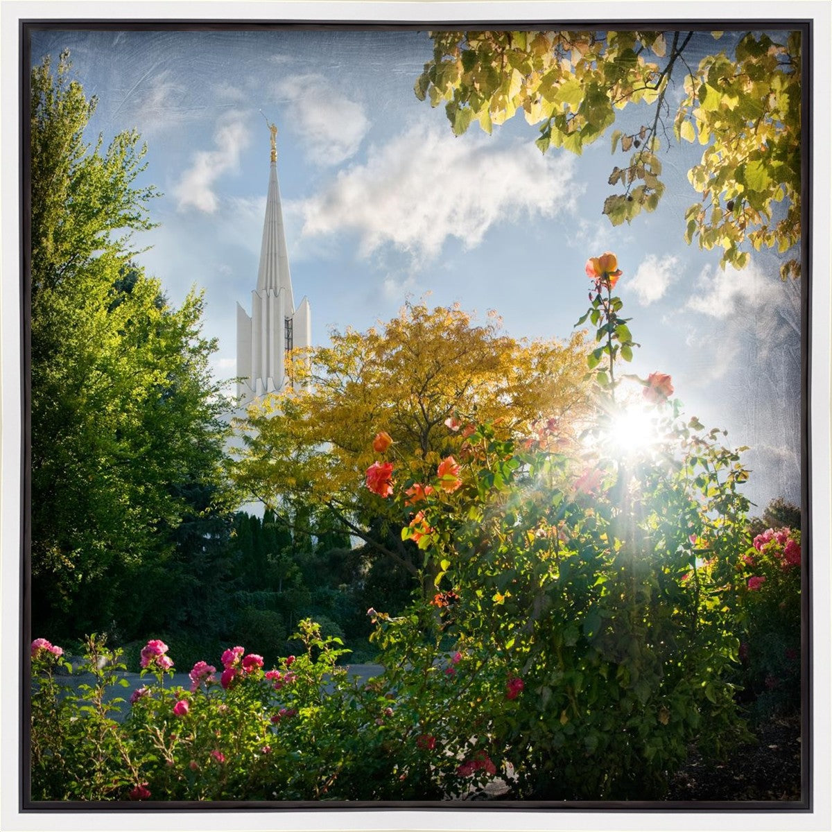 Jordan River Brightness and Glory