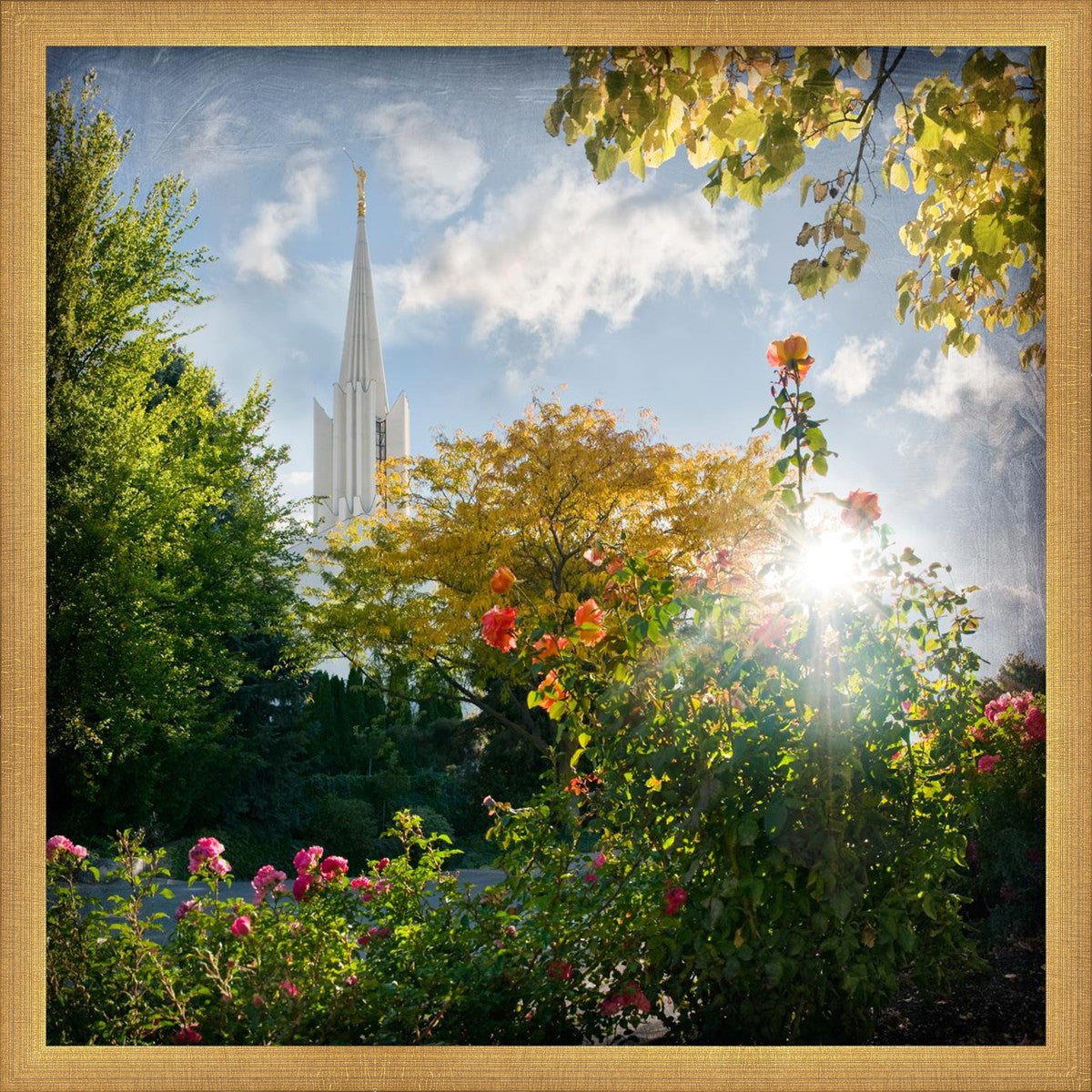 Jordan River Brightness and Glory