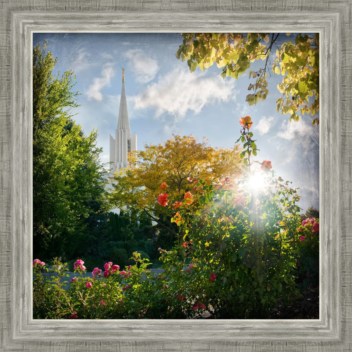 Jordan River Brightness and Glory