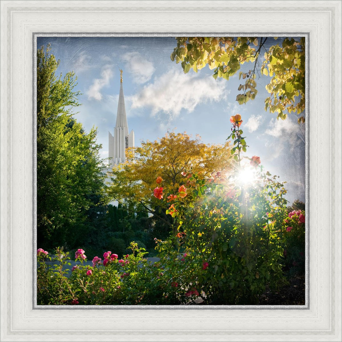 Jordan River Brightness and Glory