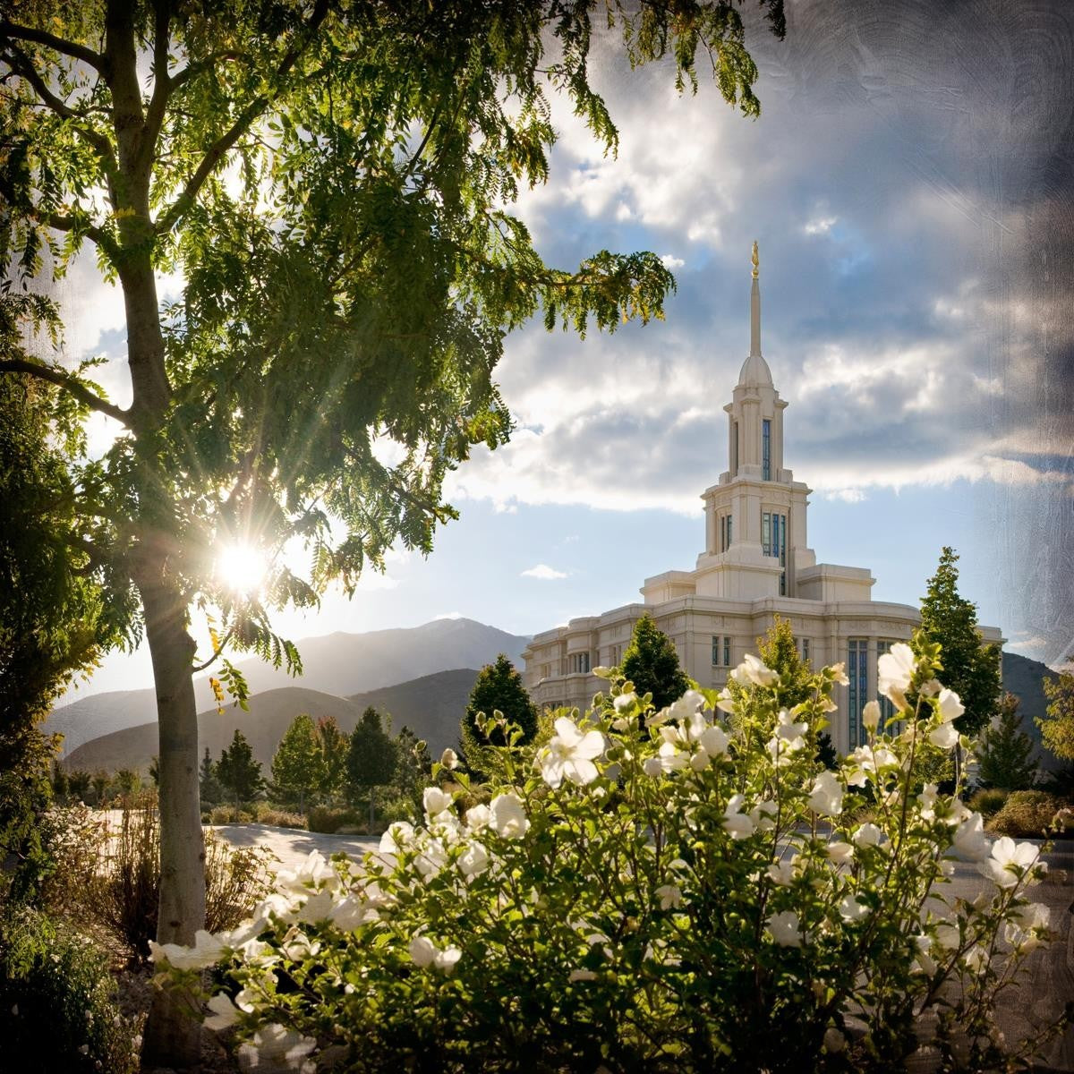 Payson Brightness and Glory