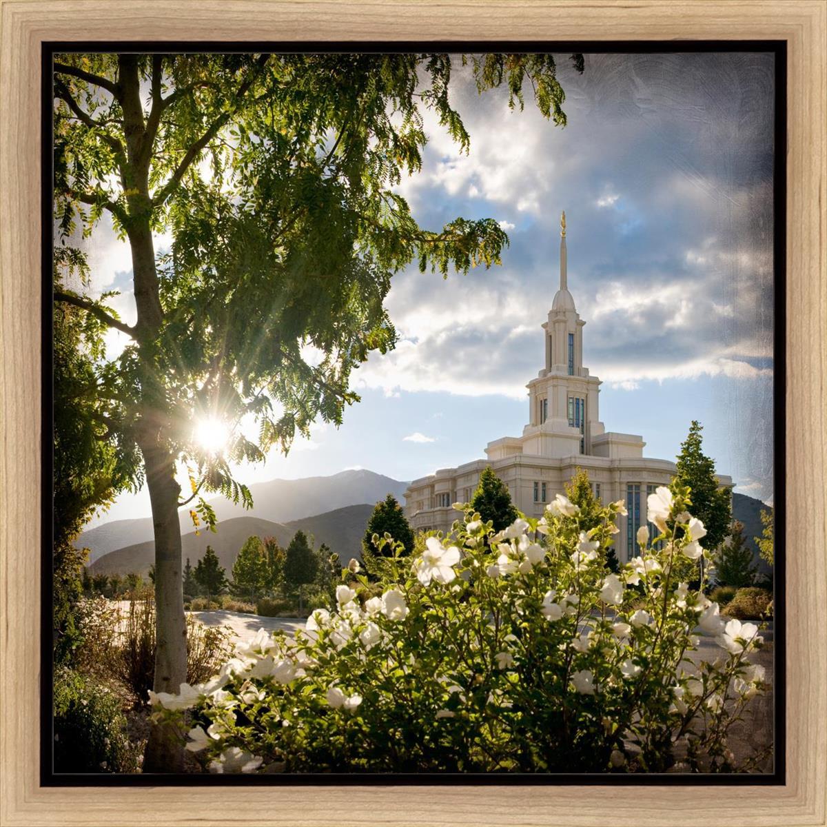 Payson Brightness and Glory