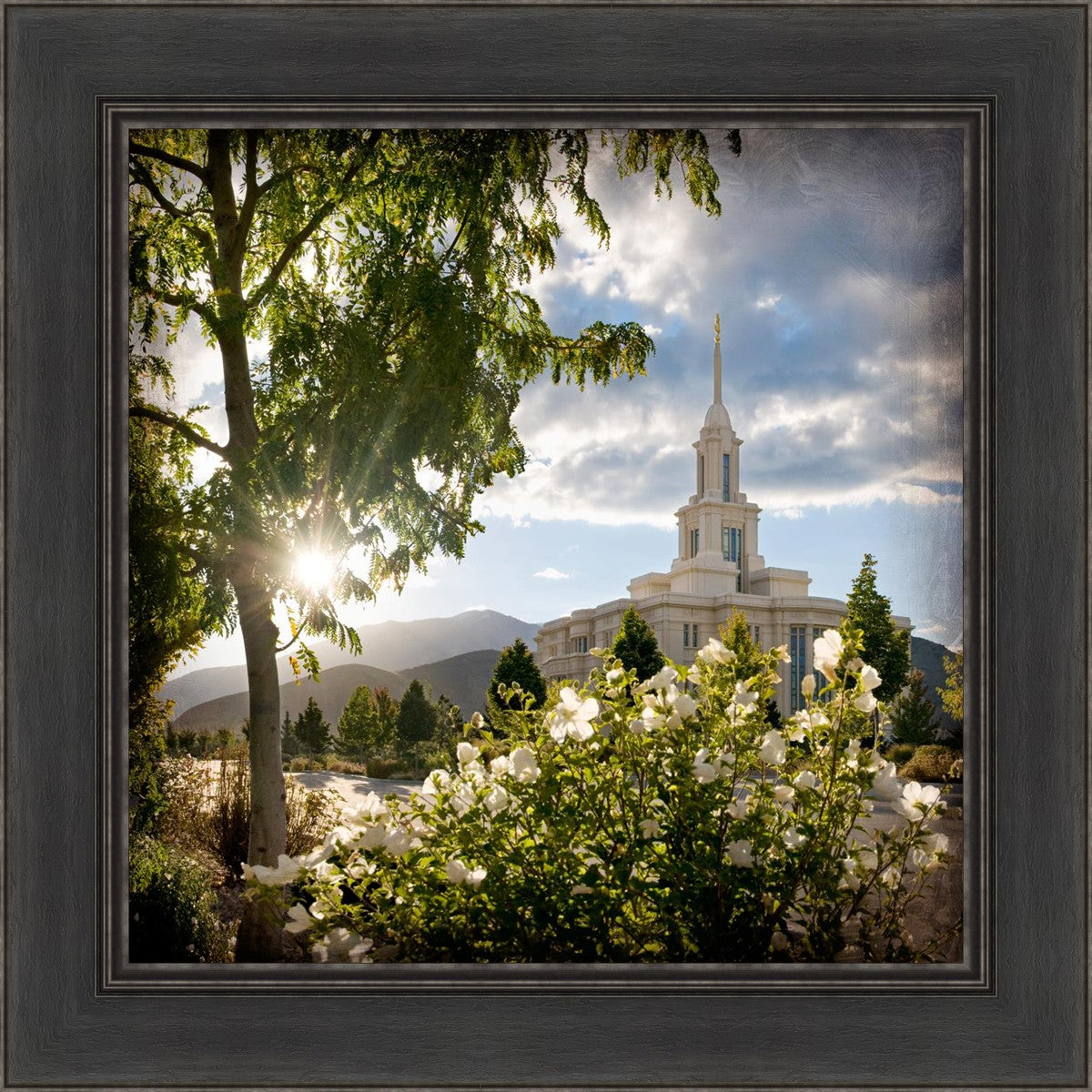 Payson Brightness and Glory